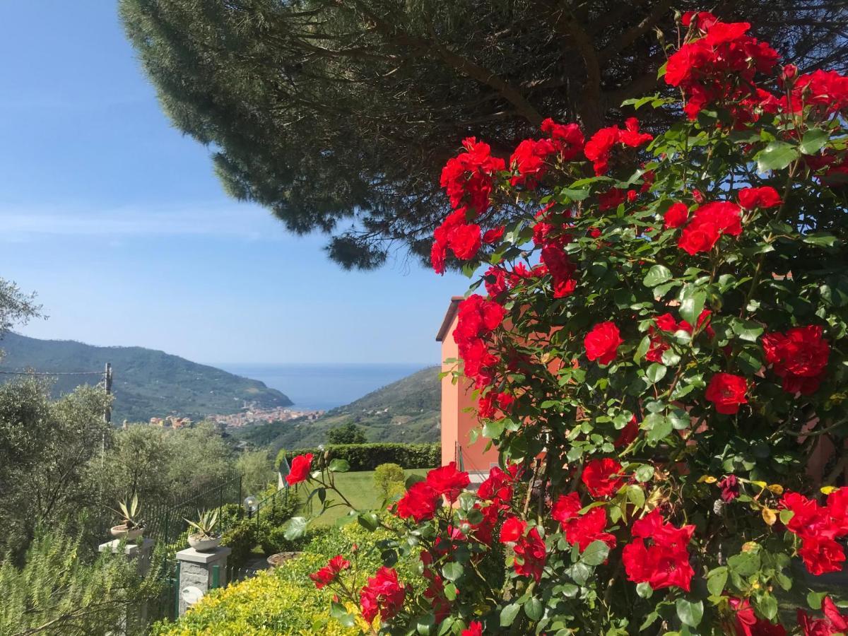 La Vignana - 5 Terre Otel Levanto Dış mekan fotoğraf